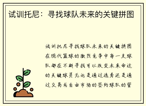 试训托尼：寻找球队未来的关键拼图