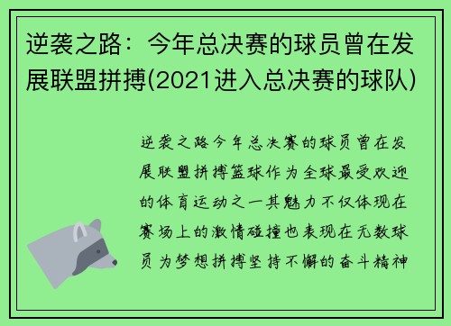 逆袭之路：今年总决赛的球员曾在发展联盟拼搏(2021进入总决赛的球队)