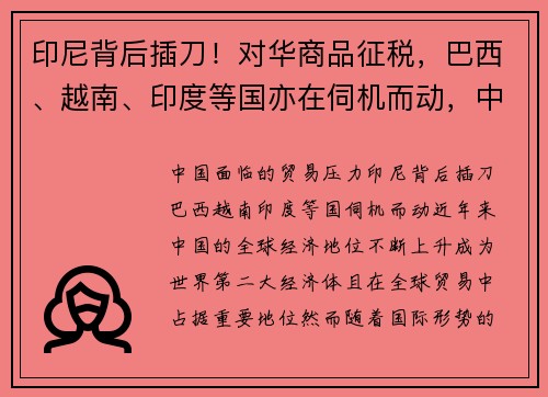 印尼背后插刀!对华商品征税,巴西、越南、印度等国亦在伺机而动,中国面临何种贸易压力? 印尼背后插刀!对华商品征税,巴西、越南、印度等国亦在伺机而动,中国面临何种贸易压力?