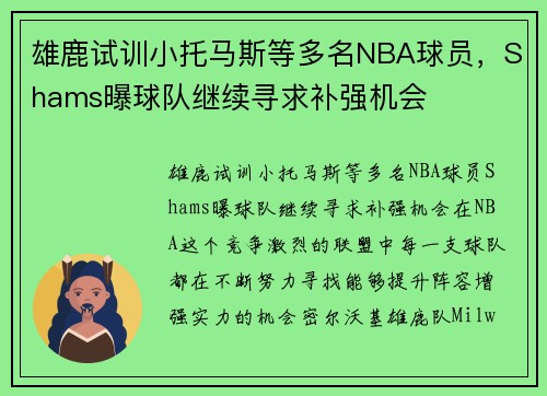 雄鹿试训小托马斯等多名NBA球员,Shams曝球队继续寻求补强机会 雄鹿试训小托马斯等多名NBA球员,Shams曝球队继续寻求补强机会